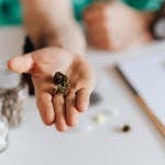 Medically Assisted Detox